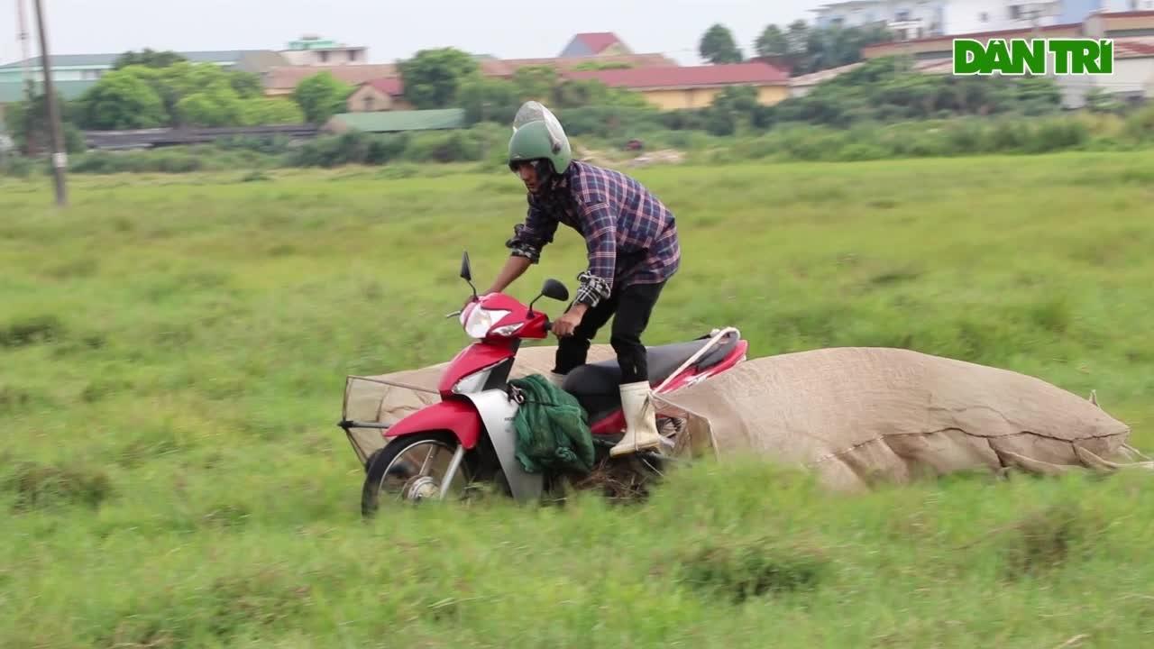 Làm xiếc mô tô bay trên đồng cỏ, bỏ túi tiền triệu mỗi ngày - 9